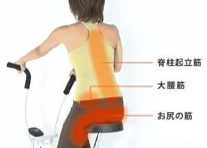 サイクルツイスタースリム背中からお尻の効果